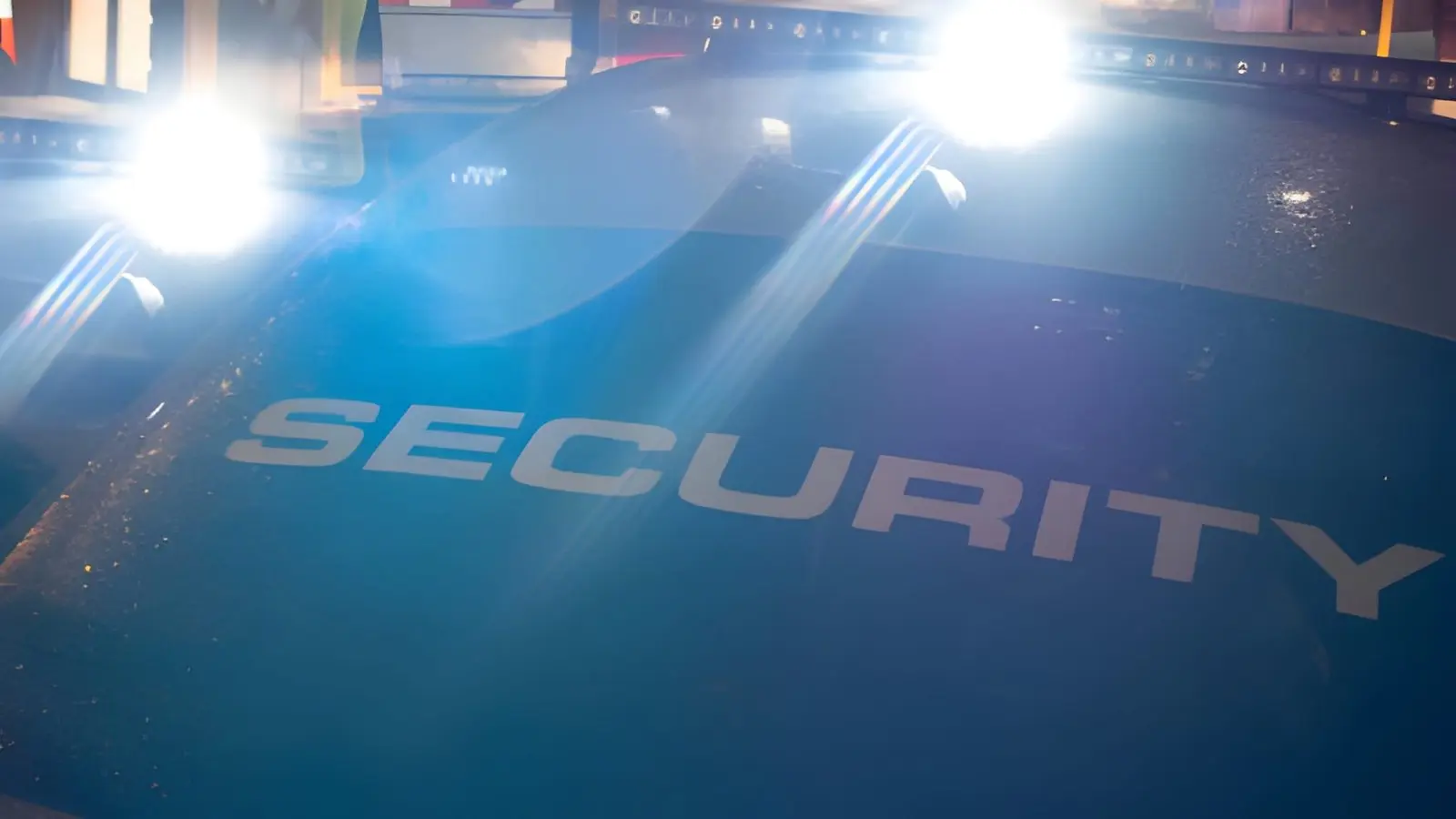 Professional Security Services Canada
